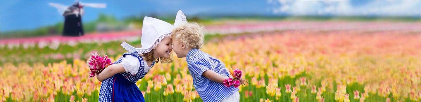 Dutch Windmills in the Netherlands