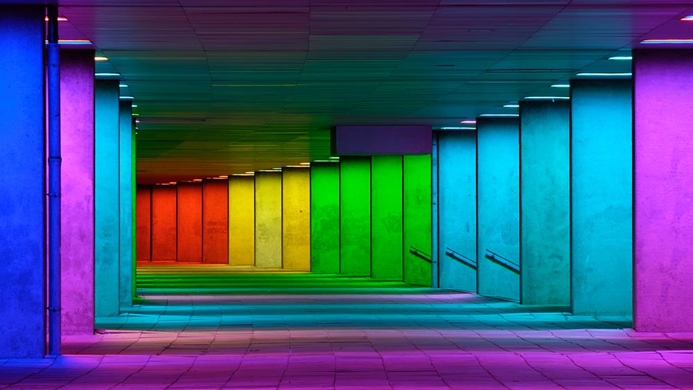 Museum Park in Rotterdam