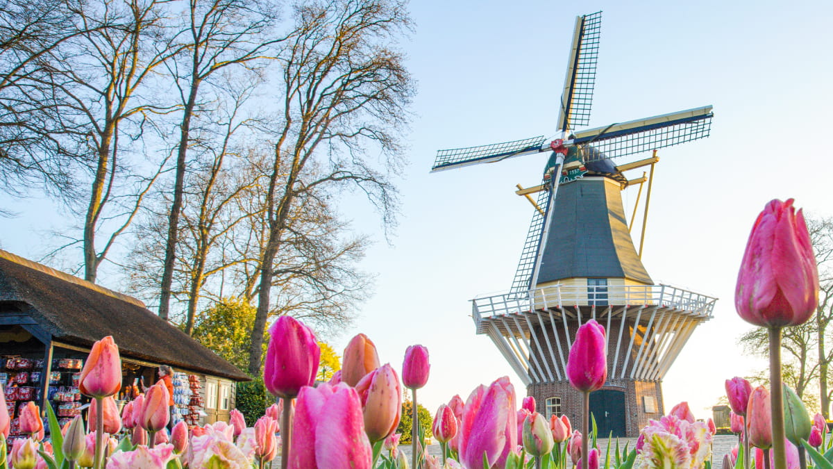 Keukenhof