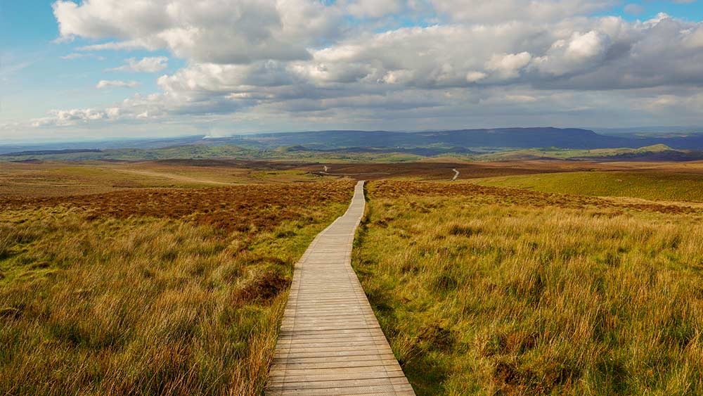 Le parc de montagne de Cuilcagh dans le comté de Fermanagh