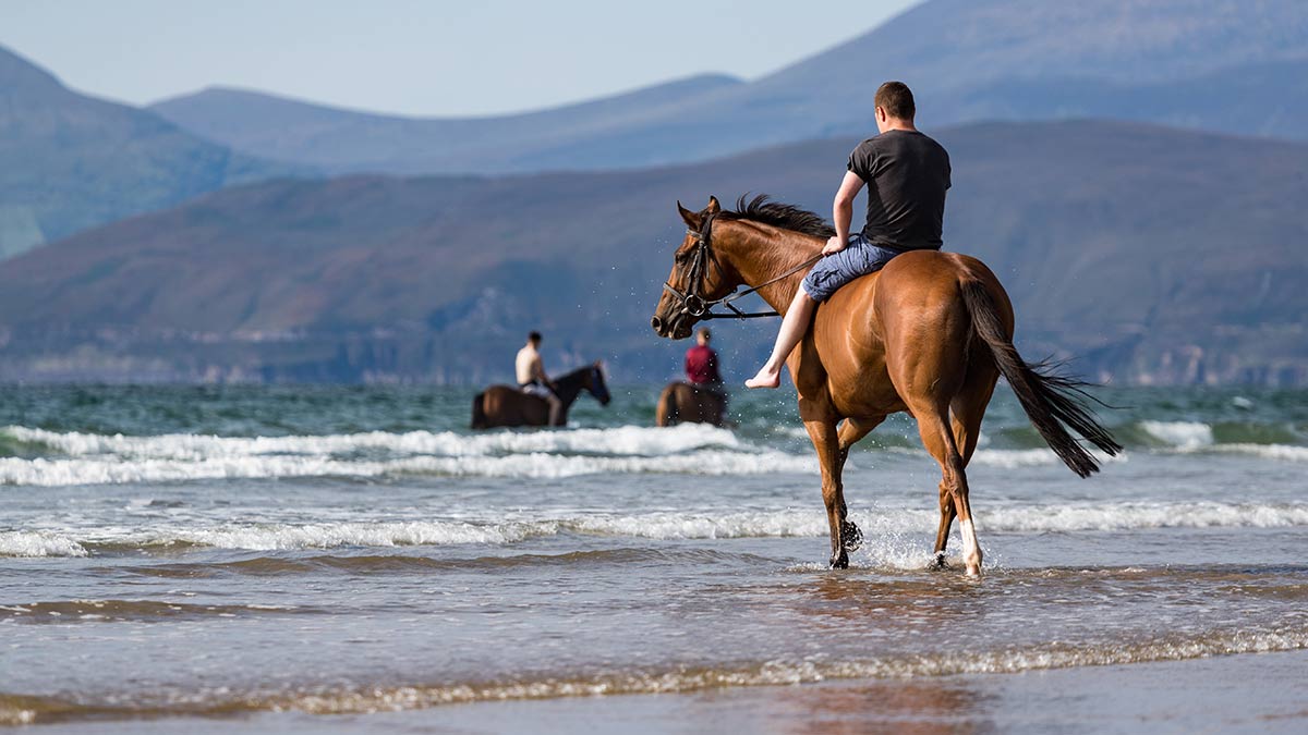 Horse riding in County Clare
