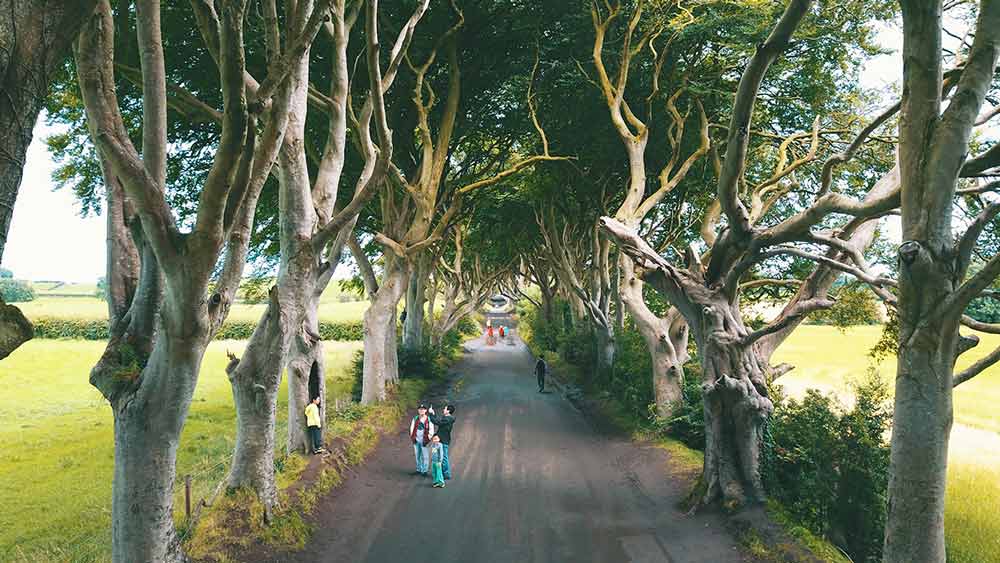 The Game of Thrones Dark Hedges, Northern Ireland