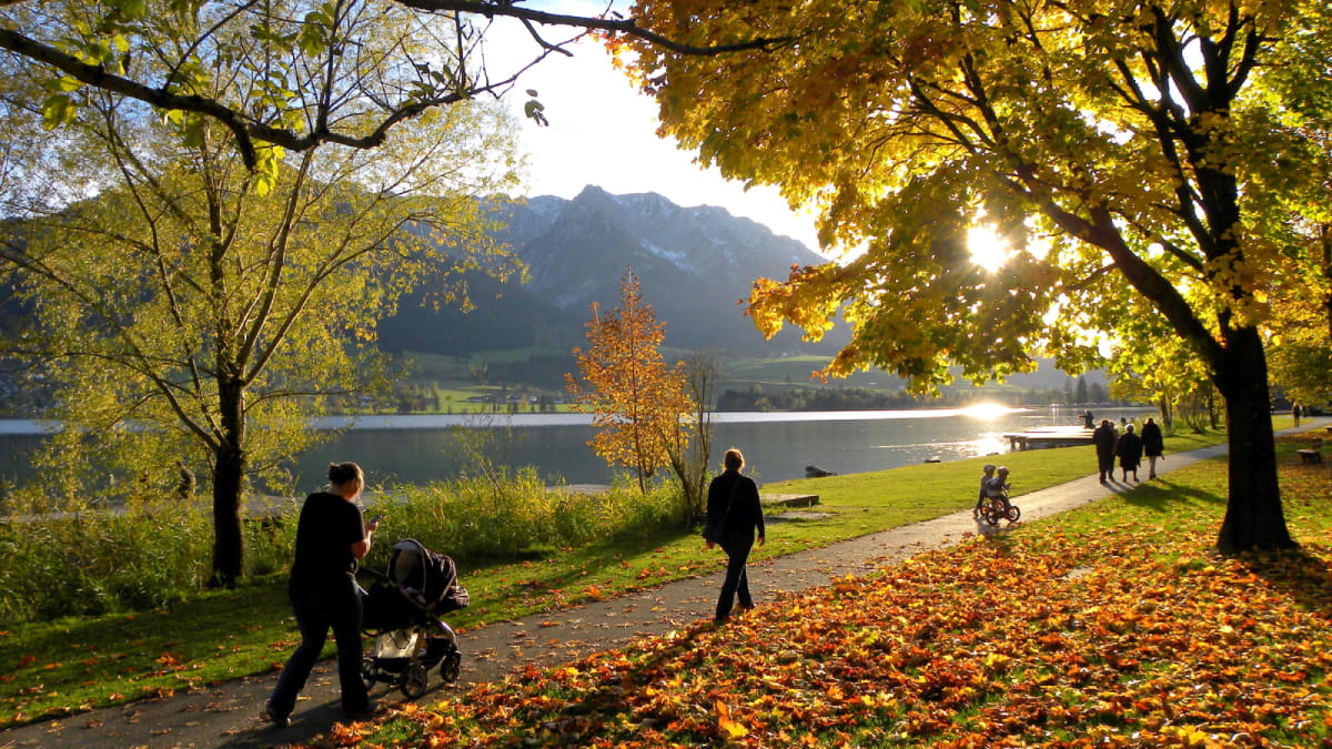Family walks in Autumn park