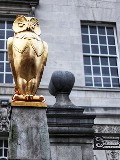 Szlak złotej sowy w Leeds z minirejsem P&O Ferries.