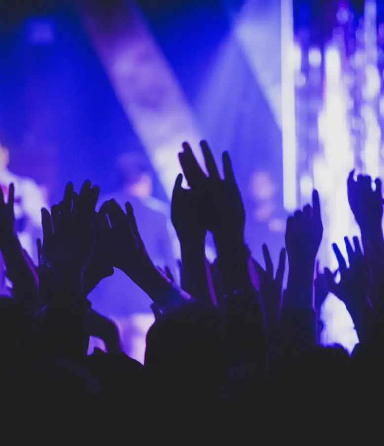 crowd with hands up