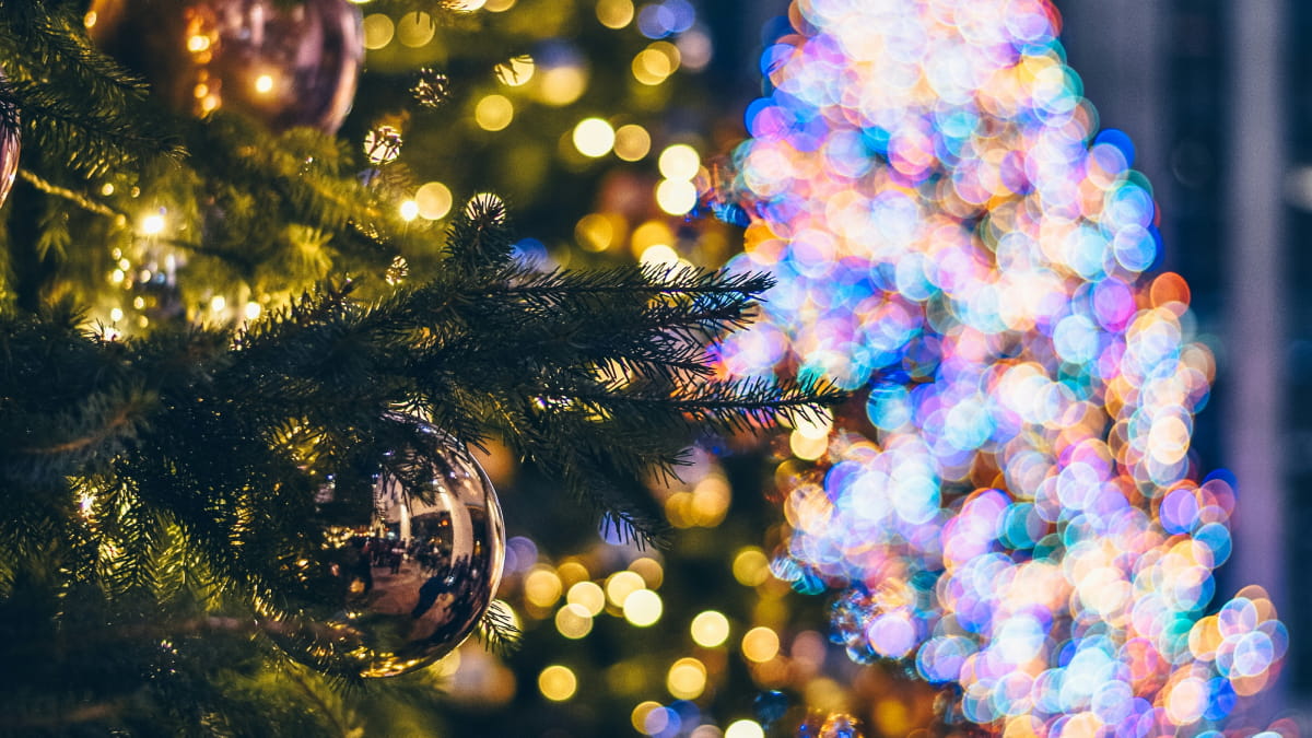 P&O Themed Mini Cruises 2024 MiniCruises P&O Ferries