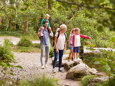 Famille dans la forêt pour une randonnée en Angleterre