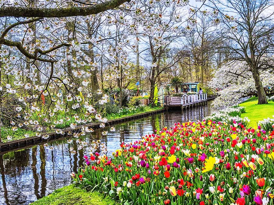 Gardens in Amsterdam, Holland