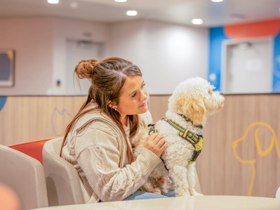 Dog and owner in the Pet Lounge on Dover to Calais ferry