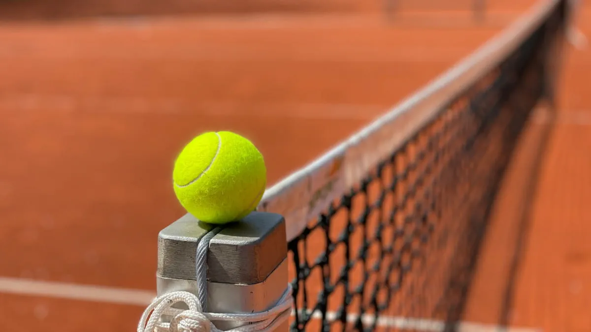 Tennis ball at the French Open 2024