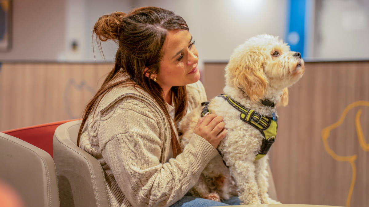 dog and owner in pet lounge on Dover to Calais ferry