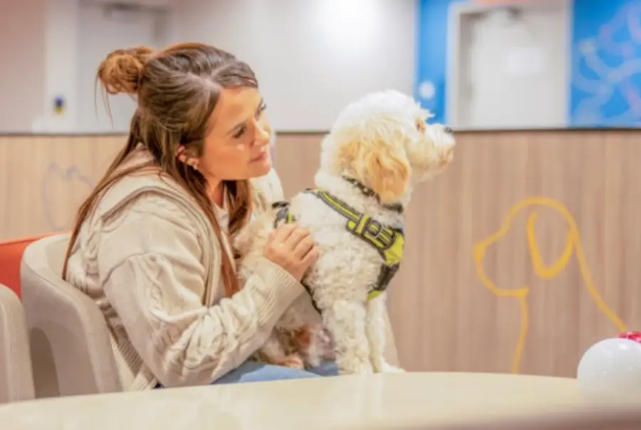 PET LOUNGE 