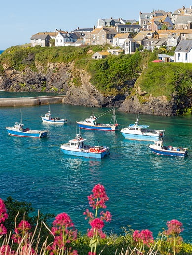 Bienvenue aux chiens sur les plages des Cornouailles