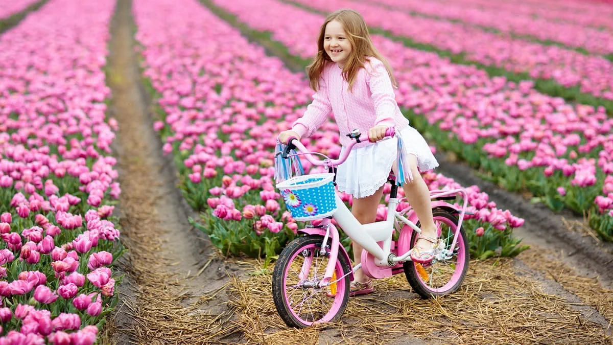 Taking a bike to Holland - tulip fields