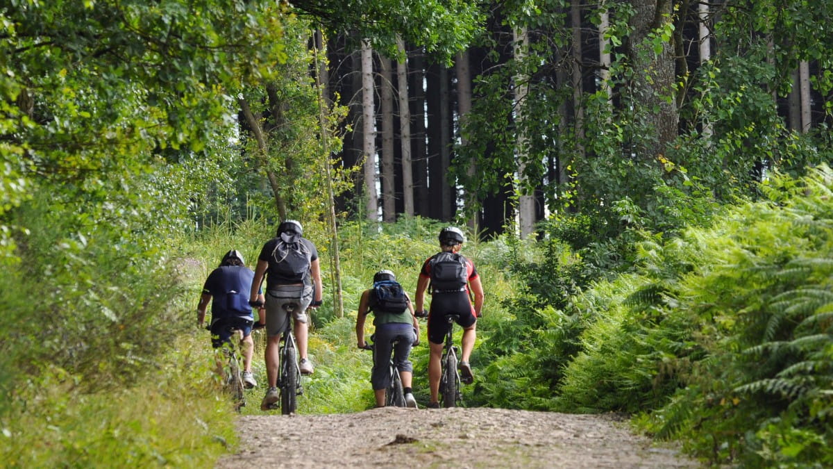 Taking a bike on a ferry to Belgium