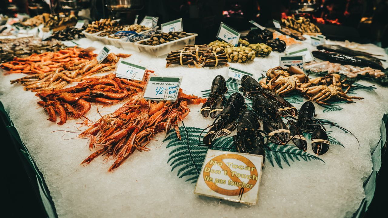 Seafood to Try in Ostend