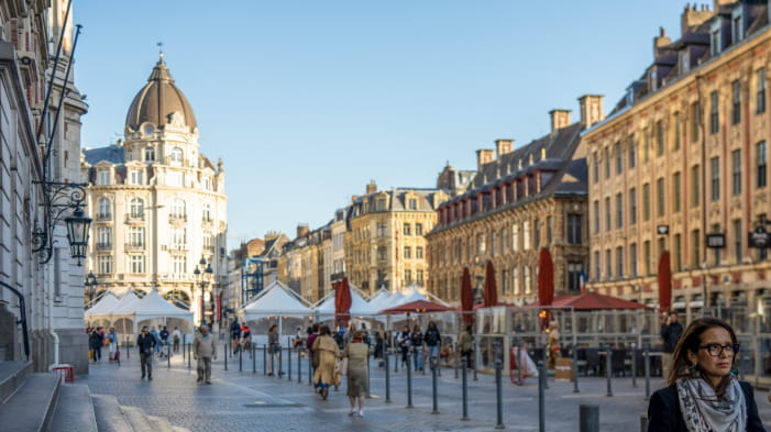 View of the city of Lille