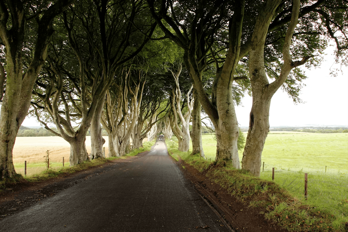 Road Trips in Northern Ireland