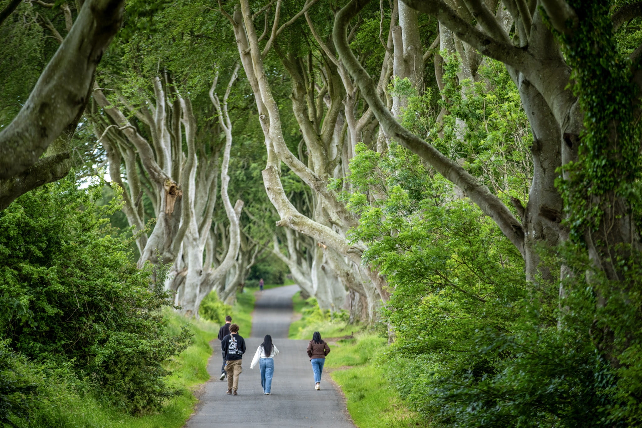 Road Trips to Northern Ireland and Beyond