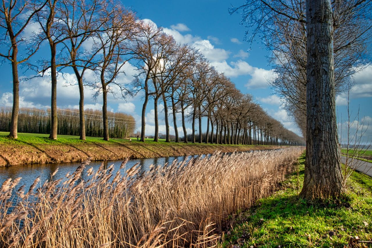 Scenic Greenways