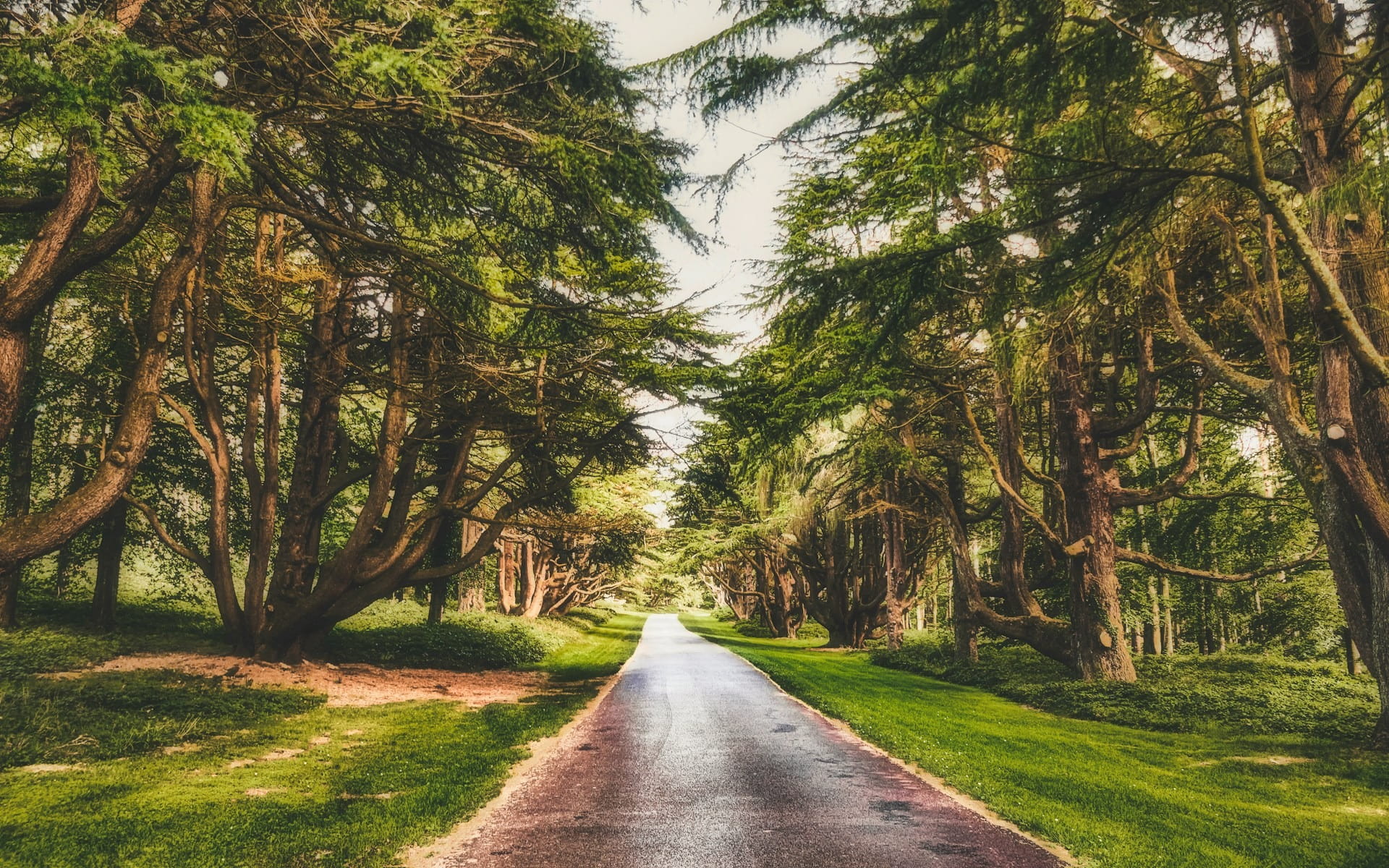 Tollymore Forest Park