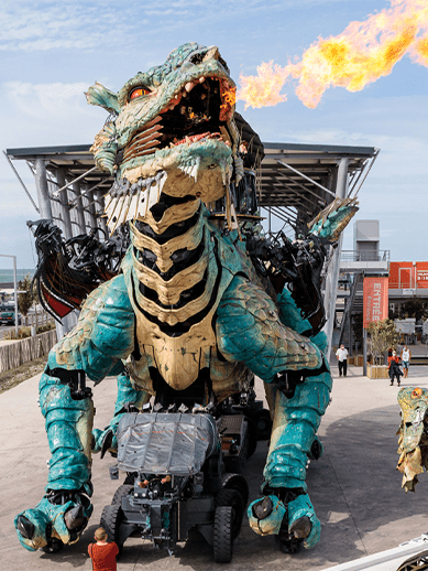 Calais Dragon