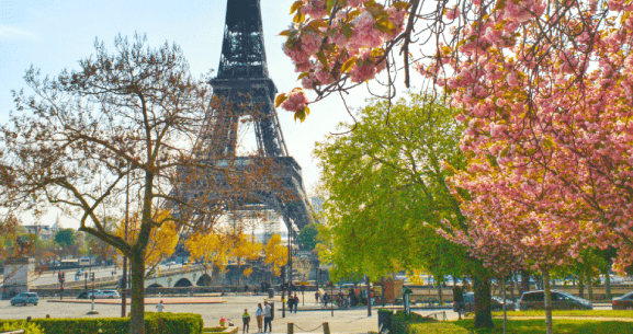 Eiffell Tower in beautiful autumn trees