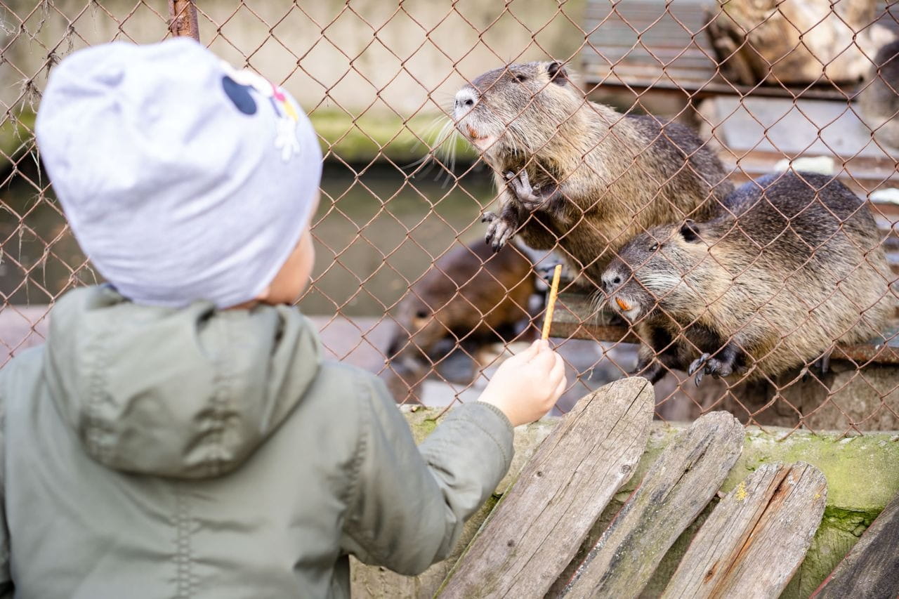 Zooparc de Trégomeur